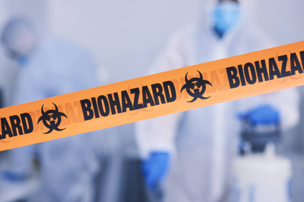 Professional Odor Removal technician working in Brandon, FL
